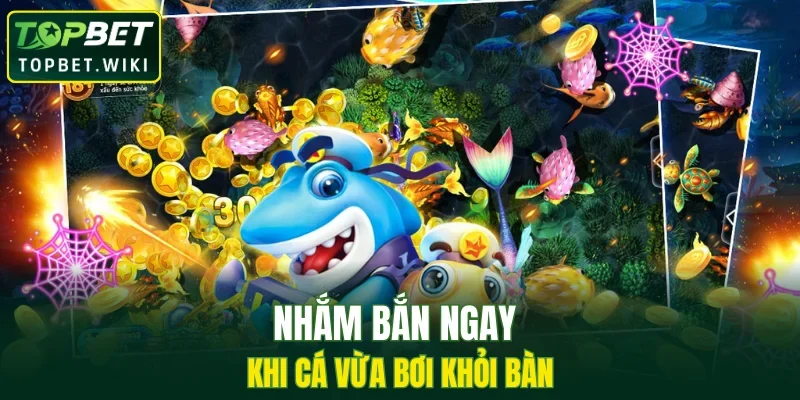 Nhắm bắn ngay khi cá vừa bơi khỏi bàn