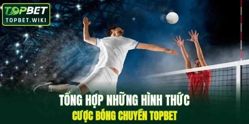 Tổng hợp những hình thức cược bóng chuyền TOPBET